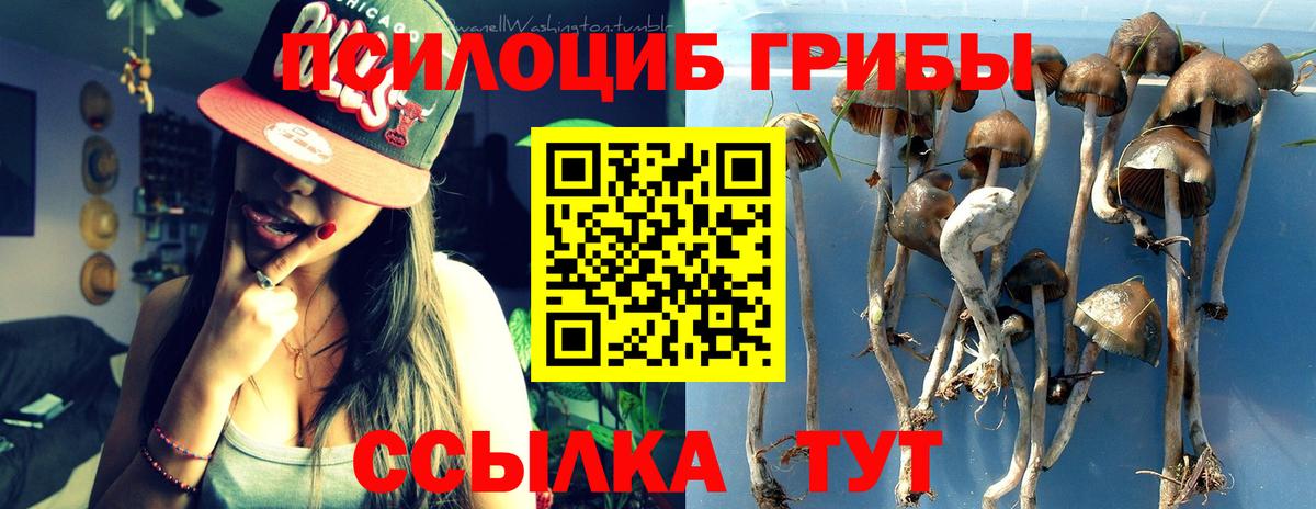 Псилоцибиновые грибы прущие грибы Чебаркуль
